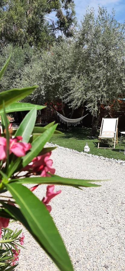La Jasmin Apartment Montauroux
